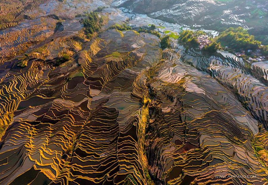 Yuanyang Hani Rice Terraces (AP) | Special Information | China | Asia